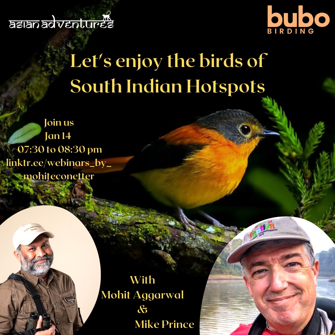 Birding - South Indian Hot Spots