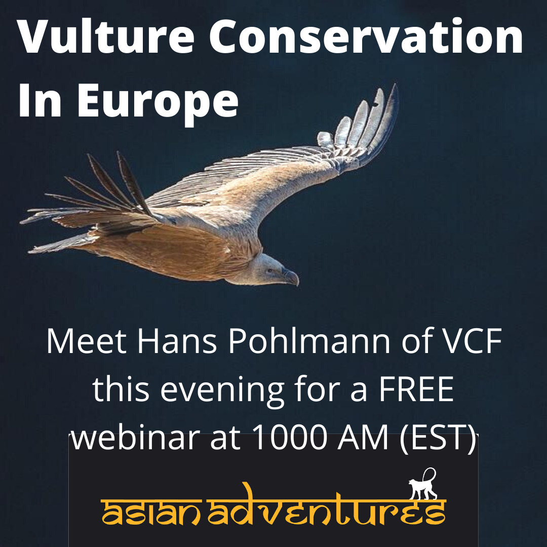  Vulture Conservation