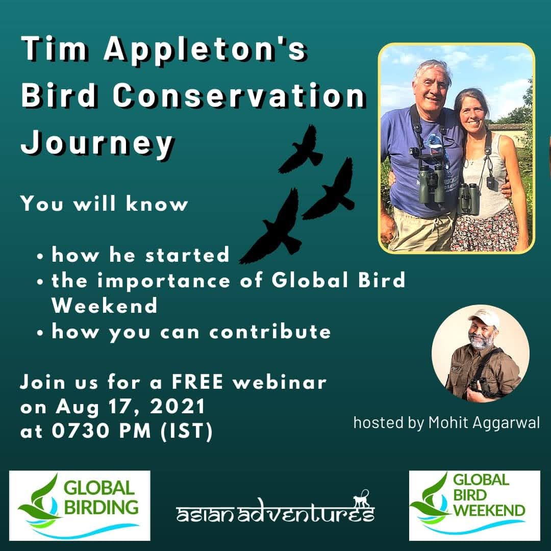 Global Bird Weekend 2021