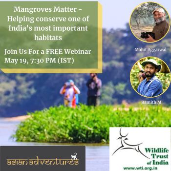 Mangroves Matter - Helping conserve one of India's most important habitats