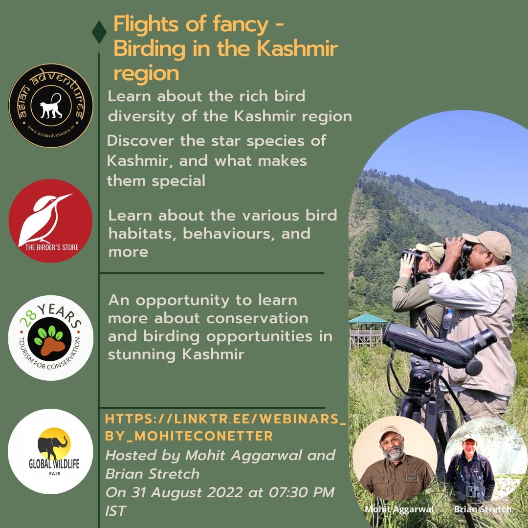 Flight of fancy - Birding in the Kashmir region