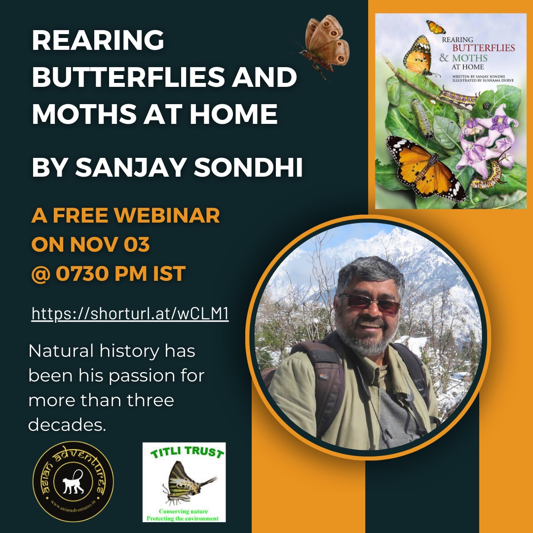 Rearing Butterflies and Moths at Home By Sanjay Sondhi