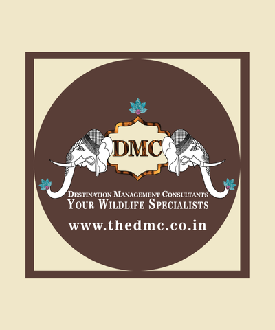 DMC Tours
