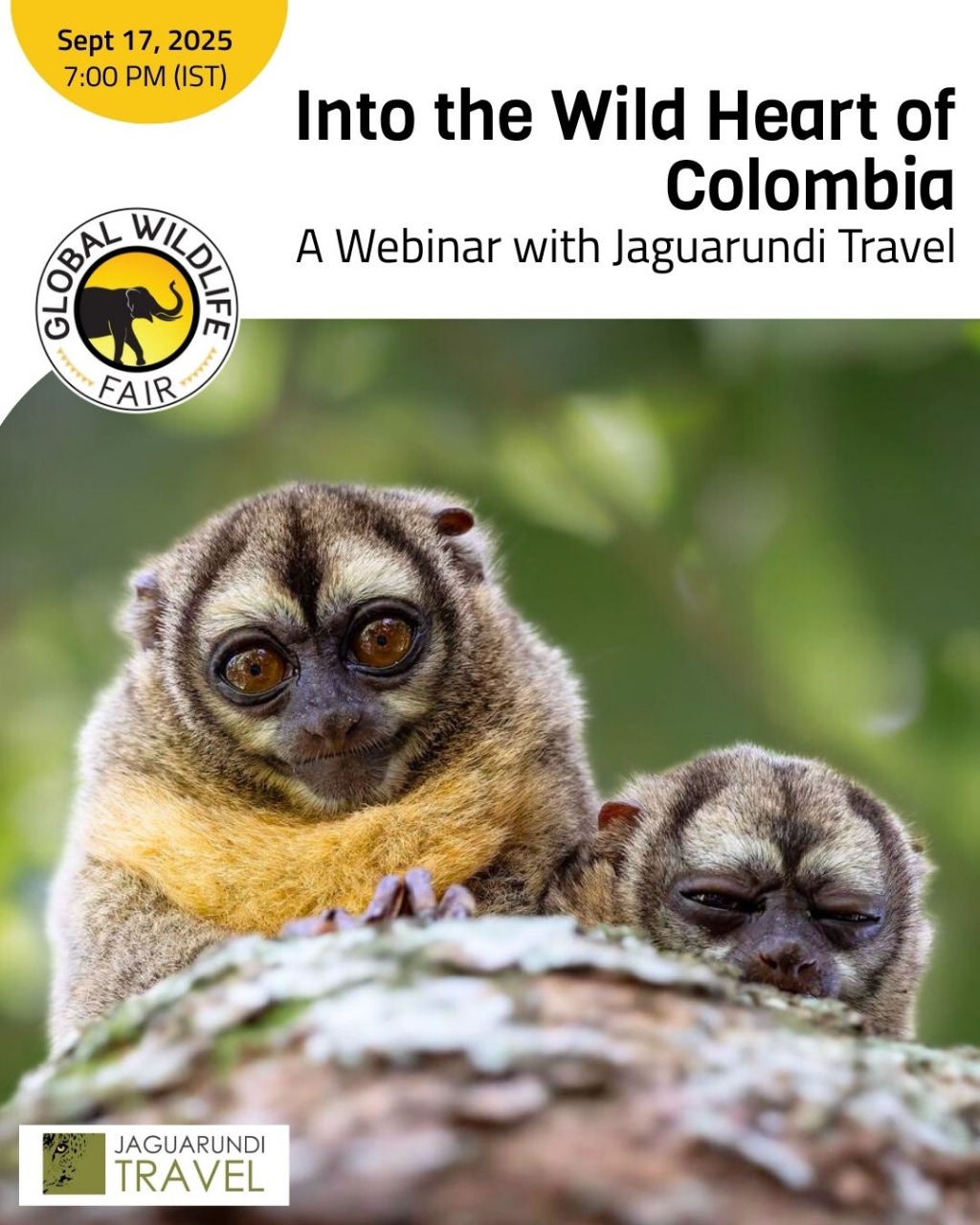 Into the Wild Heart of Colombia