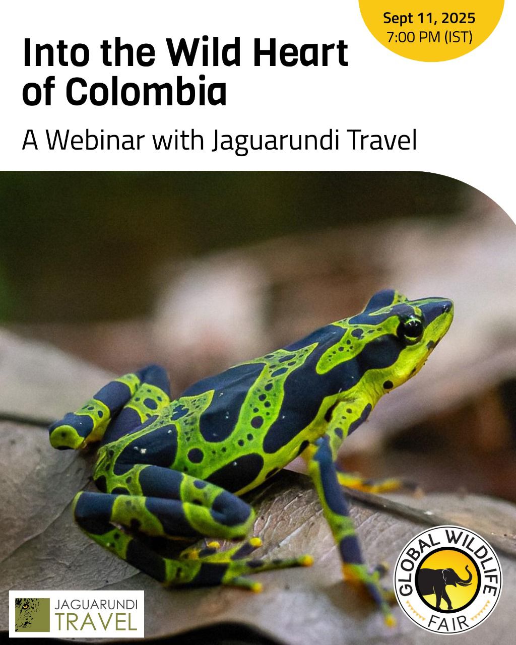 Into the Wild Heart of Colombia