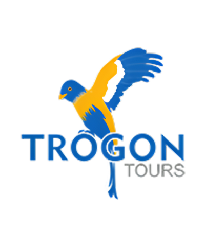 Tragon Tours