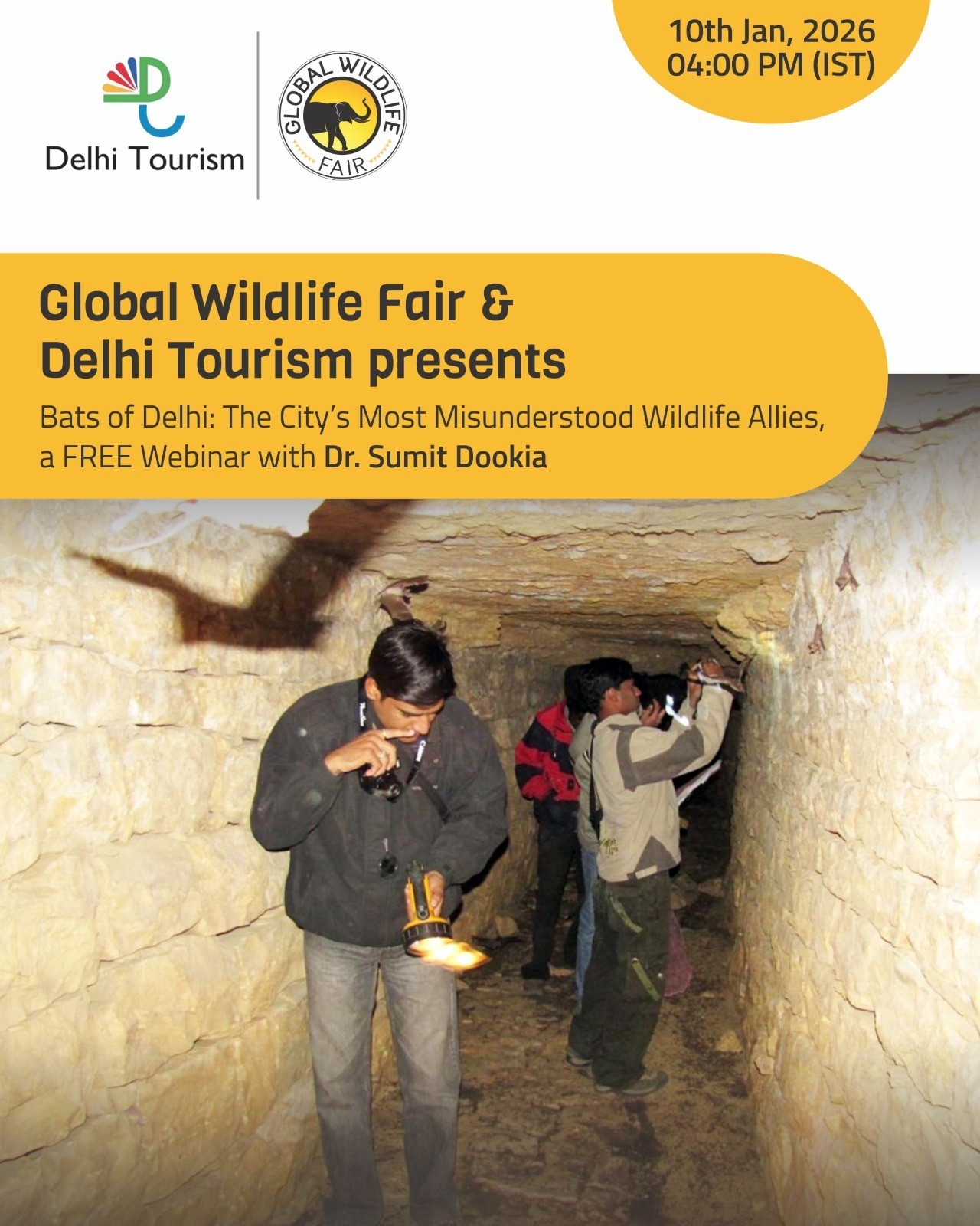 Delhi’s Unexplored Wild Denizen Bats of Delhi and Tourism Potential