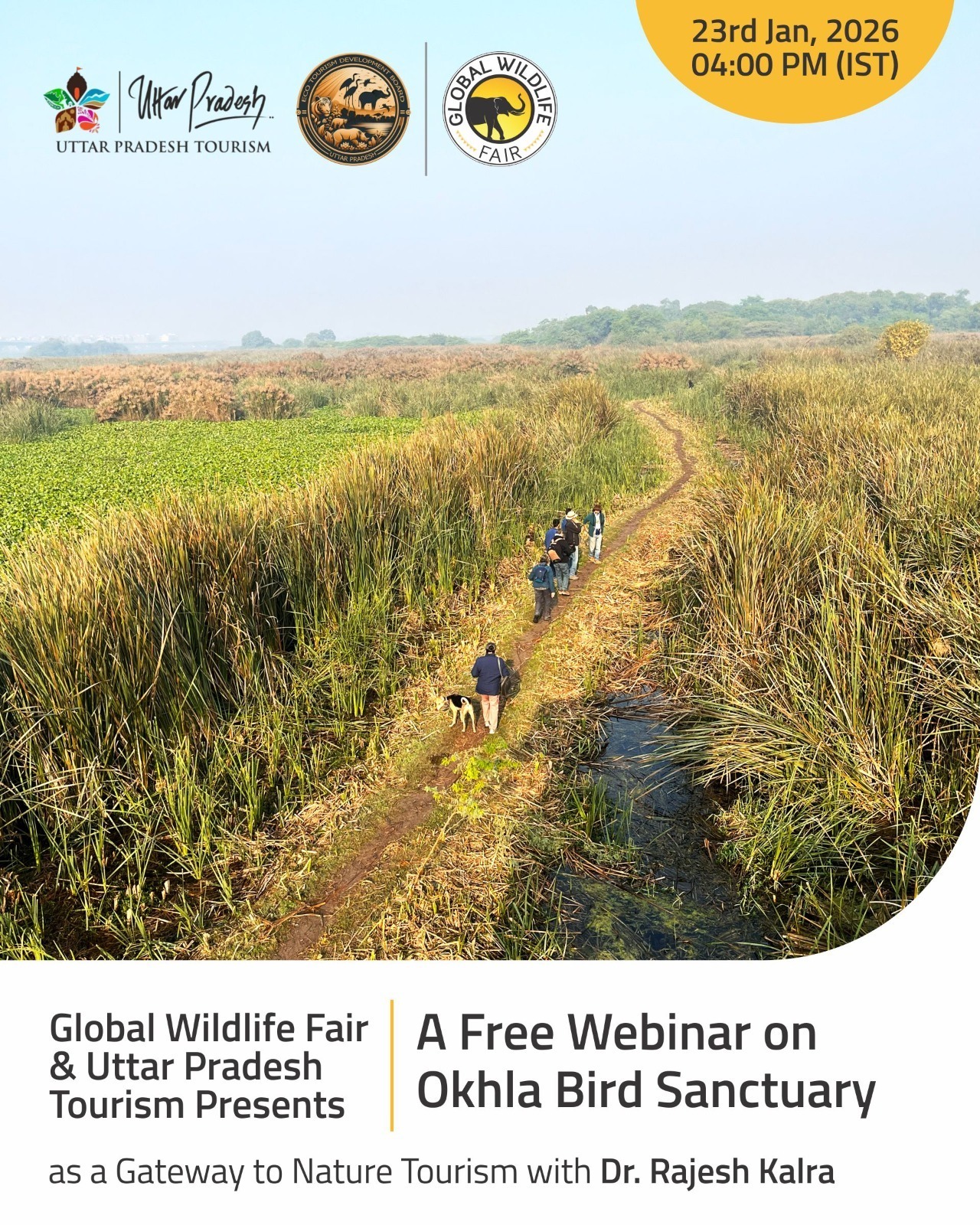 Uttar Pradesh’s Urban Wilderness: Okhla Bird Sanctuary as a Gateway to Nature Tourism