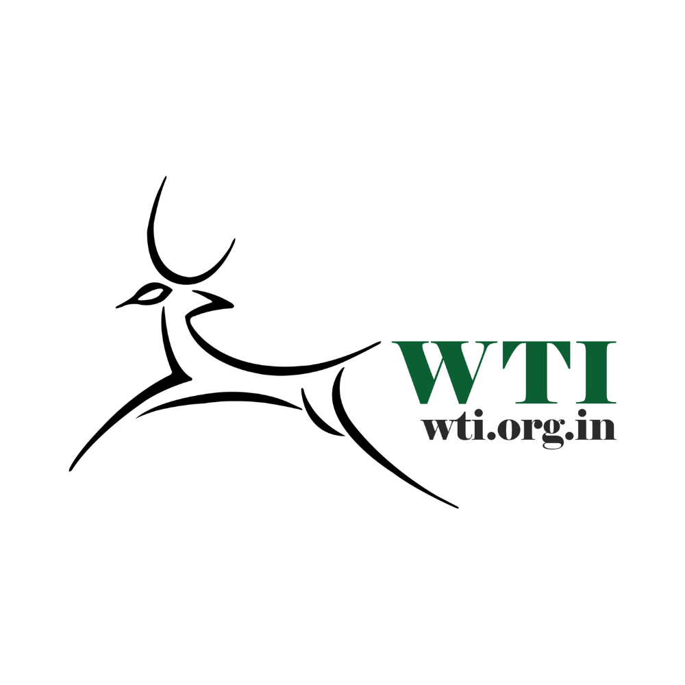 WTI Logo