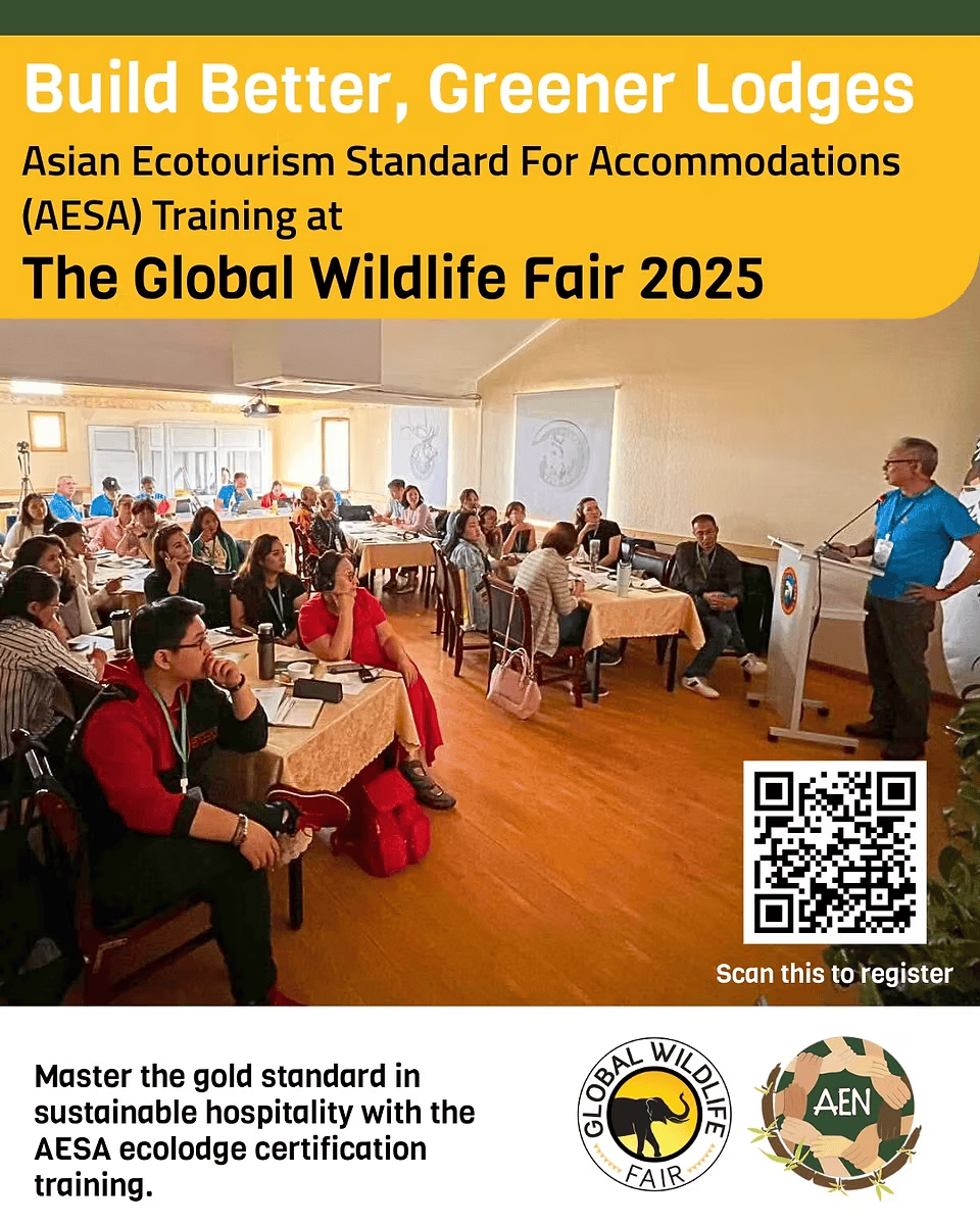 aesa update