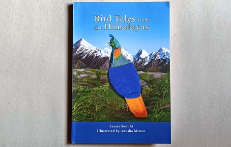 Bird tales book 01