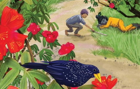 Birds Tales from the Himalaya Blue Whistling Thrush illustration