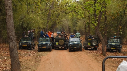 Jeep_Safari_in_Bandhavgarh