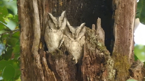 Photography_Tour_in_Bandhavgarh_India