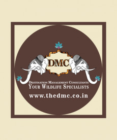 DMC Tours