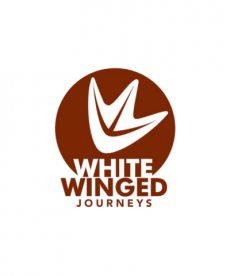 White Winged Journeys